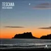 Chart track